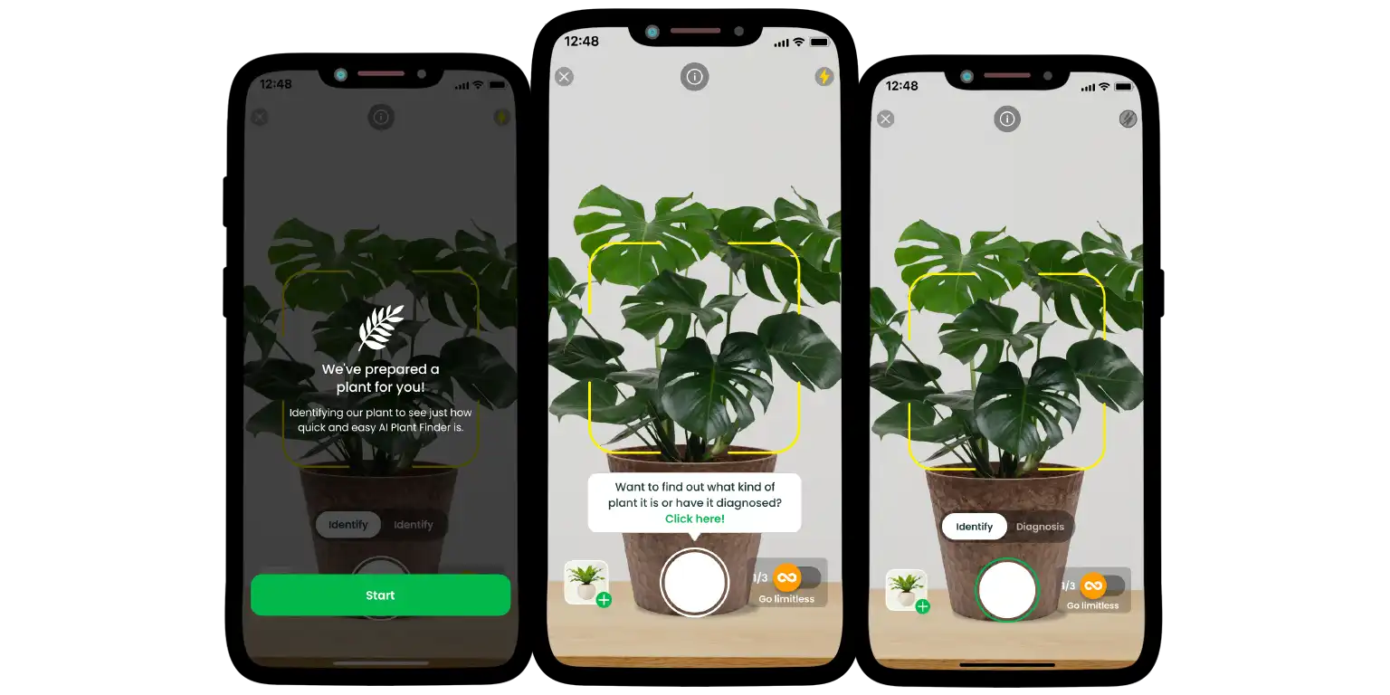 A closer look on how AI Plant Finder works.